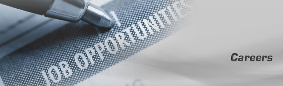 Abhay Prashal Career